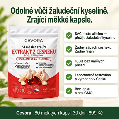 Cevora — 24 měsíců zrající česnekový extrakt s CoQ10 a vitamínem K2