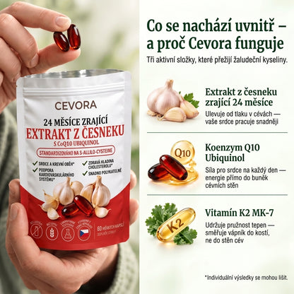 Cevora — 24 měsíců zrající česnekový extrakt s CoQ10 a vitamínem K2