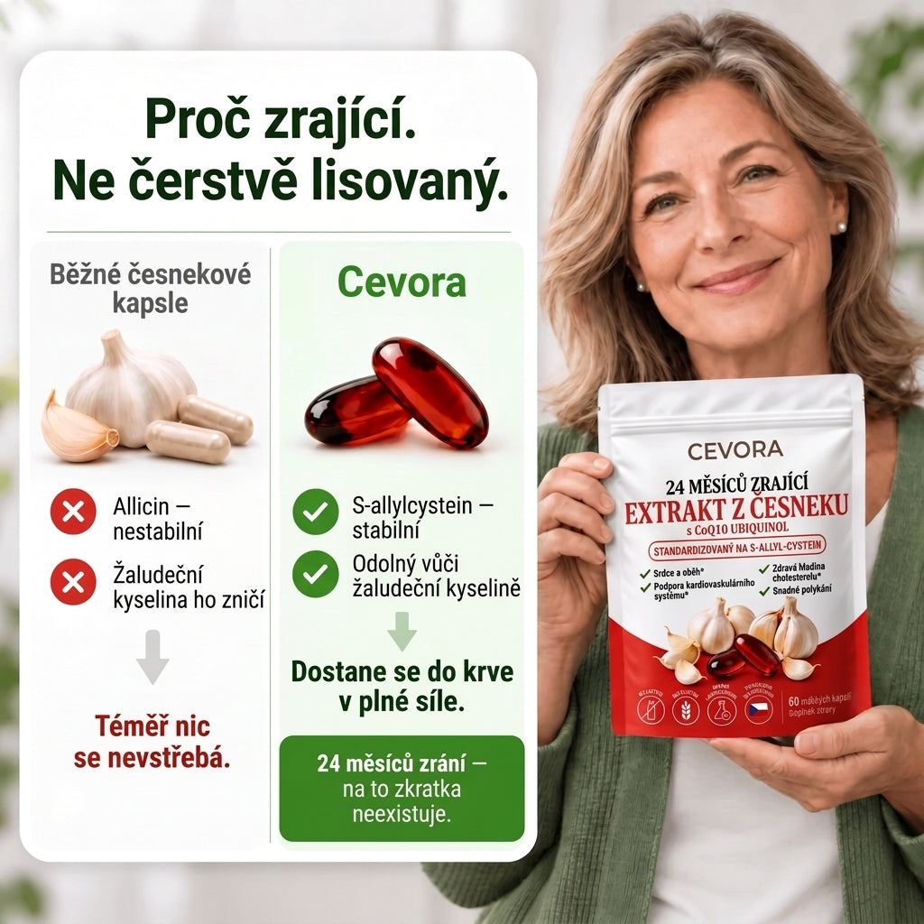 Cevora — 24 měsíců zrající česnekový extrakt s CoQ10 a vitamínem K2