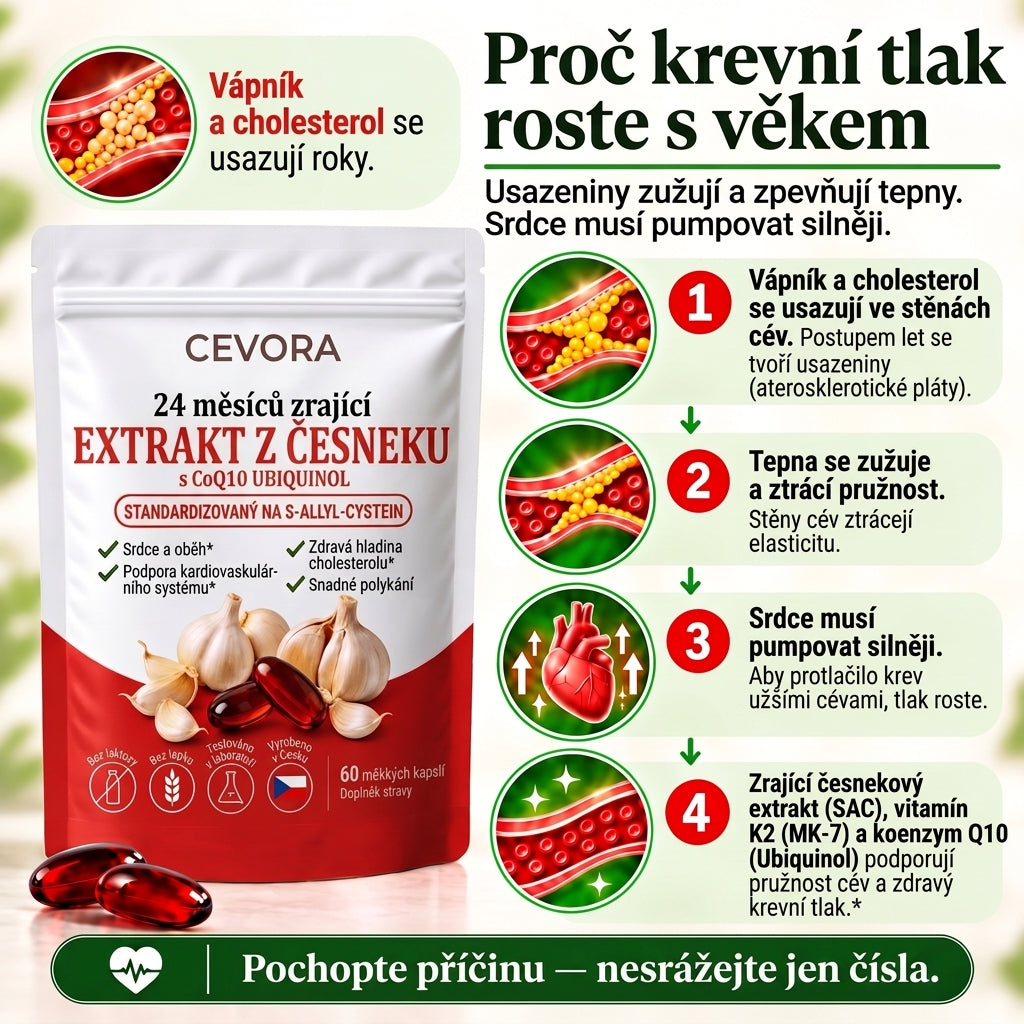 Cevora — 24 měsíců zrající česnekový extrakt s CoQ10 a vitamínem K2